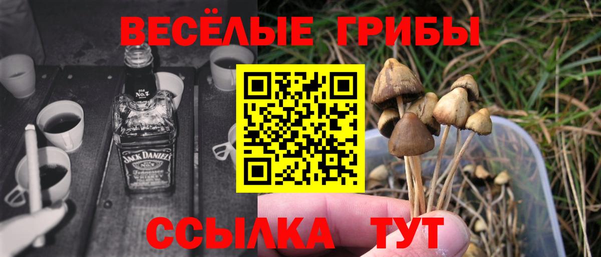 Галлюциногенные грибы Psilocybe  Галлюциногенные грибы Psilocybine cubensis  Вход с VPN  Ханты-Мансийск 